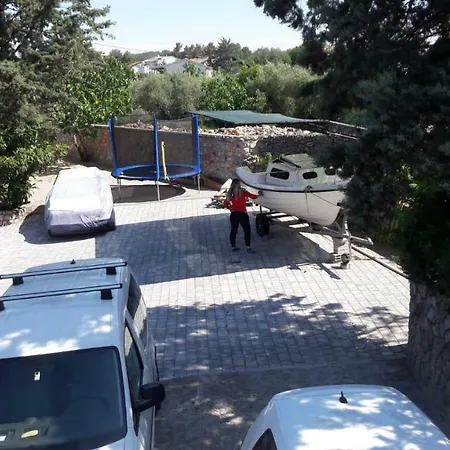 Toni-malinska * Malinska